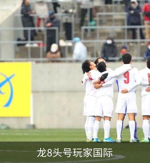龙8头号玩家国际简介
